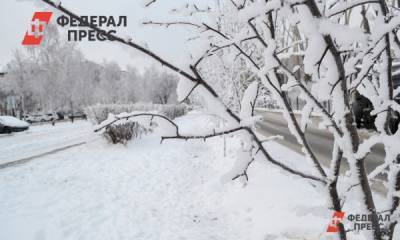 В Горном Алтае выпал первый снег