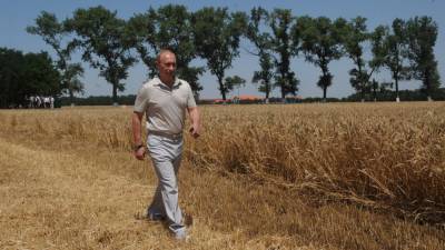 Путин обеспокоился сокращением сельхозпроизводства в Ростовской области