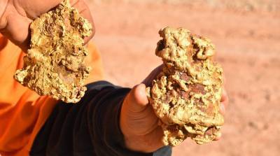 Друзья из Австралии нашли два огромных золотых самородка весом 3,5 кг