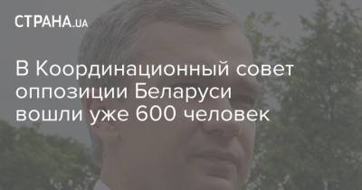 В Координационный совет оппозиции Беларуси вошли уже 600 человек