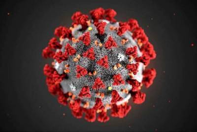 Американские учёные создали необычную вакцину от коронавируса