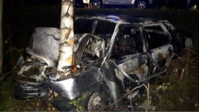 Под Костромой ВАЗ врезался в дерево – водитель погиб