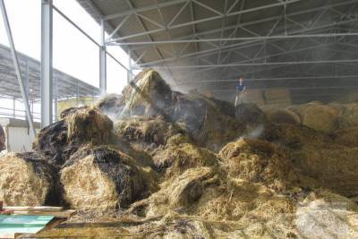 Под Рязанью горело почти 80 тонн сена