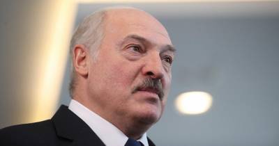 Лукашенко снял с должности посла в Словакии за поддержку протестов