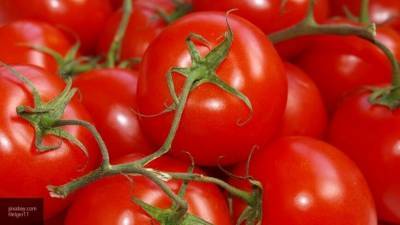 Россиянам рассказали о неочевидной пользе томатов