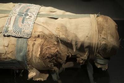 Ученые определили загадочное содержимое египетских мумий - Cursorinfo: главные новости Израиля