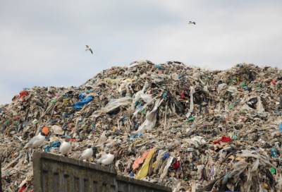 Ленобласть очистит от мусора петербургский МПБО-2 в Янино