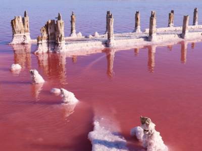 В Крыму пересохло знаменитое «Розовое озеро»