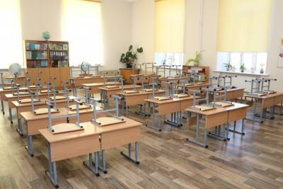 Некоторые классы школ Петербурга отправят на карантин и «дистанционку»