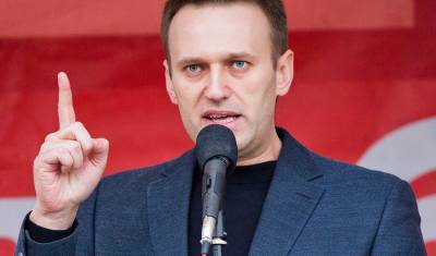 Врачи в России прокомментировали заключение немецких коллег о диагнозе Навального