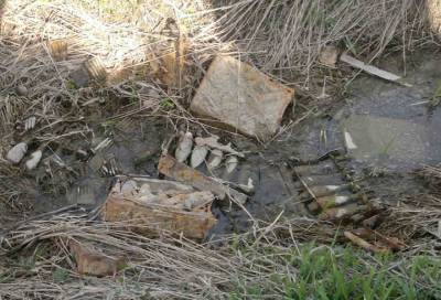 В Шушарах обнаружили более 20 боеприпасов военных времён