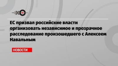 ЕС призвал российские власти организовать независимое и прозрачное расследование произошедшего с Алексеем Навальным
