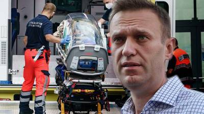 Шевченко прокомментировал диагноз немецких врачей об отравлении Навального ингибитором холинэстеразы