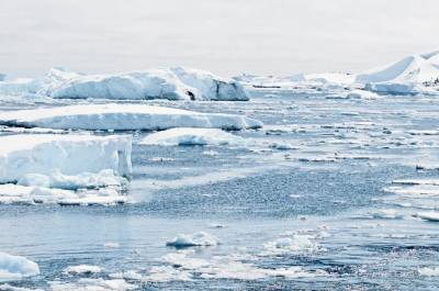 На востоке Антарктиды обнаружили аномальное таяние льда