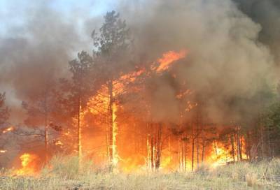 Названы российские регионы, которым угрожают лесные пожары