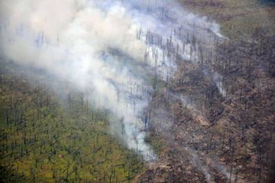 Гидрометцентр назвал регионы, которым угрожают лесные пожары