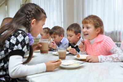 В Хабаровском крае 80 школ не смогли организовать бесплатное питание