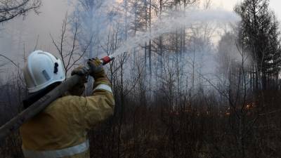 В России за сутки потушили 39 лесных пожаров