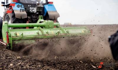 Новые технологии земледелия в Красноярском крае внедрили 87 хозяйств