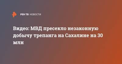 Видео: МВД пресекло незаконную добычу трепанга на Сахалине на 30 млн