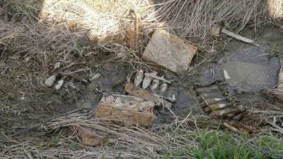 В Шушарах обнаружили более 20 боеприпасов времён ВОВ