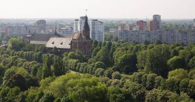 В Калининграде более чем на 100 гектарах земли запретили строительство