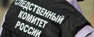 СК начал проверку по факту избиения подростка сверстниками в Новомичуринске