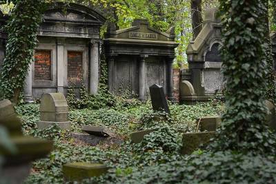 В Санкт-Петербурге на кладбище найден обнаженный труп мужчины