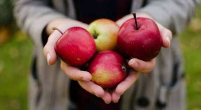 Яблочный Спас: 5 рецептов необычной выпечки из яблок