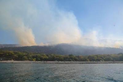 Около тысячи туристов эвакуированы из горящего леса под Анапой