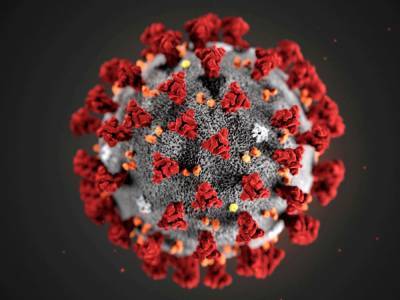 Ученые определили самую благоприятную среду для распространения коронавируса