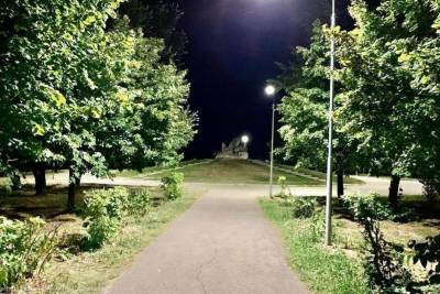 В Рязани в парке Морской славы заработали 56 уличных фонарей