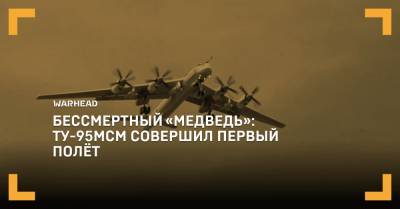 «Медведь»: Ту-95МСМ совершил первый полёт