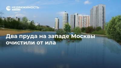 Два пруда на западе Москвы очистили от ила
