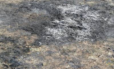 В Лоевском районе на мужчине, сжигавшем мусор, загорелась одежда. Через девять дней он скончался в больнице
