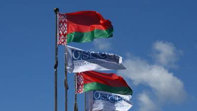 Спецзаседание постсовета ОБСЕ по Белоруссии пройдёт 28 августа