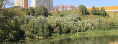 В Красногорске выяснили причину загрязнения реки Сходня