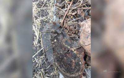Полные карманы патронов и противогаз: останки солдата нашли поисковики