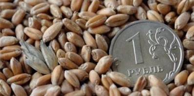 В августе из Орловской области экспортировано более 30 тысяч тонн зерна