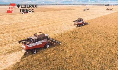 В Тюменской области планируют собрать 1,36 млн тонн зерна