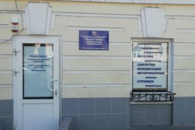 Акция на стерилизацию: в центре ростовской Нахичевани открылась новая государственная ветлечебница