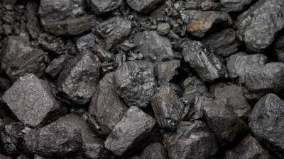 Эксперт объяснила, зачем Индия захотела купить почти весь российский уголь