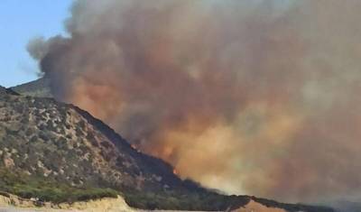 Сотни туристов эвакуируют из Анапы, где бушуют лесные пожары