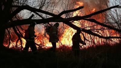 Вертолет из Симферополя тушит сильный лесной пожар под Анапой