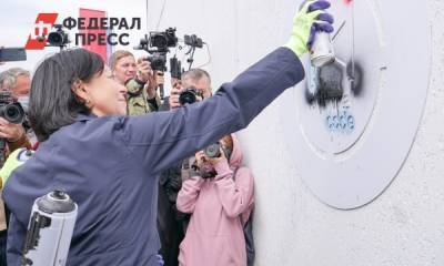 В пяти городах Челябинской области на фасадах нарисуют огромные граффити