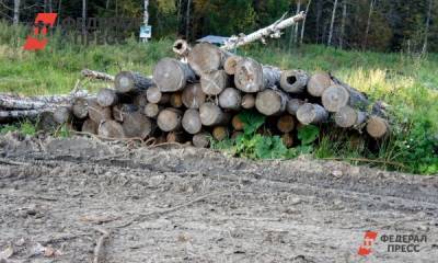 Законность вырубки леса на Куштау проверят силовики