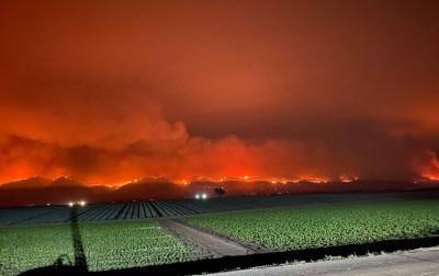 Пожары в Калифорнии стали крупнейшими в истории штата