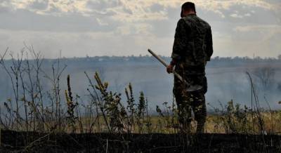 Боевики используют перемирие на Донбассе для укрепления передовых позиций - Минобороны