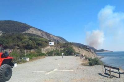 Сотни туристов эвакуируют из-за пожара в заповеднике «Утриш» под Анапой
