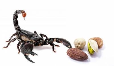 Женщину укусил скорпион, прятавшийся в купленном винограде